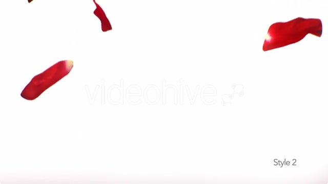 Red Rose Petals Videohive 14375755 Motion Graphics Image 5