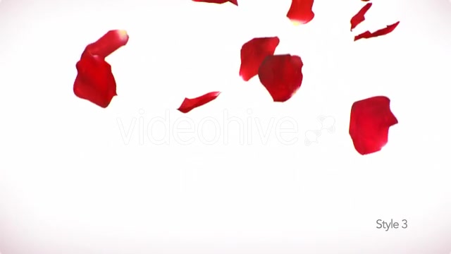Red Rose Petals Videohive 14375755 Motion Graphics Image 8