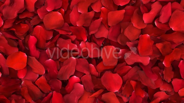 Red Rose Petals Fill Screen Overlay Videohive 14503738 Motion Graphics Image 4