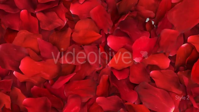 Red Rose Petals Fill Screen Overlay Videohive 14503738 Motion Graphics Image 6