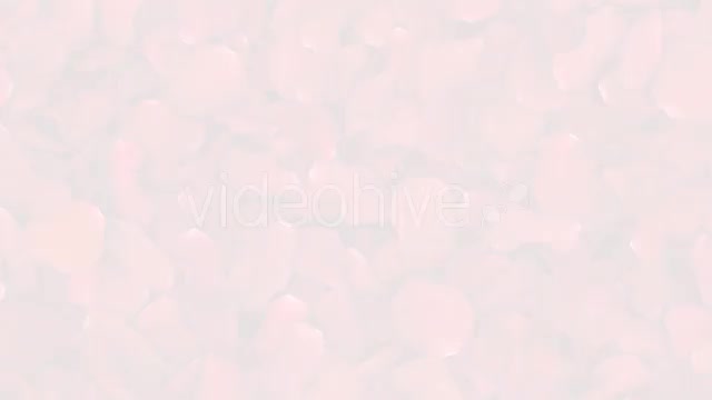 Red Rose Petals Fill Screen Overlay Videohive 14503738 Motion Graphics Image 9