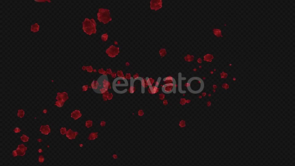 Red Rose Trail Pack of 5 Videohive 21653673 Motion Graphics Image 10