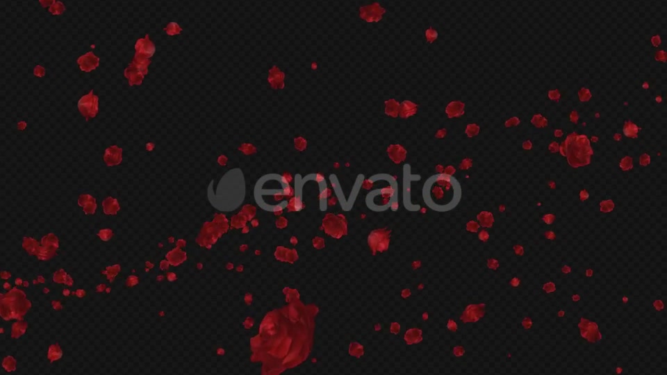 Red Rose Trail Pack of 5 Videohive 21653673 Motion Graphics Image 4