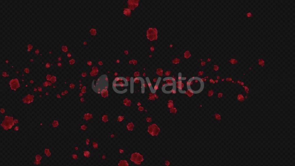 Red Rose Trail Pack of 5 Videohive 21653673 Motion Graphics Image 6