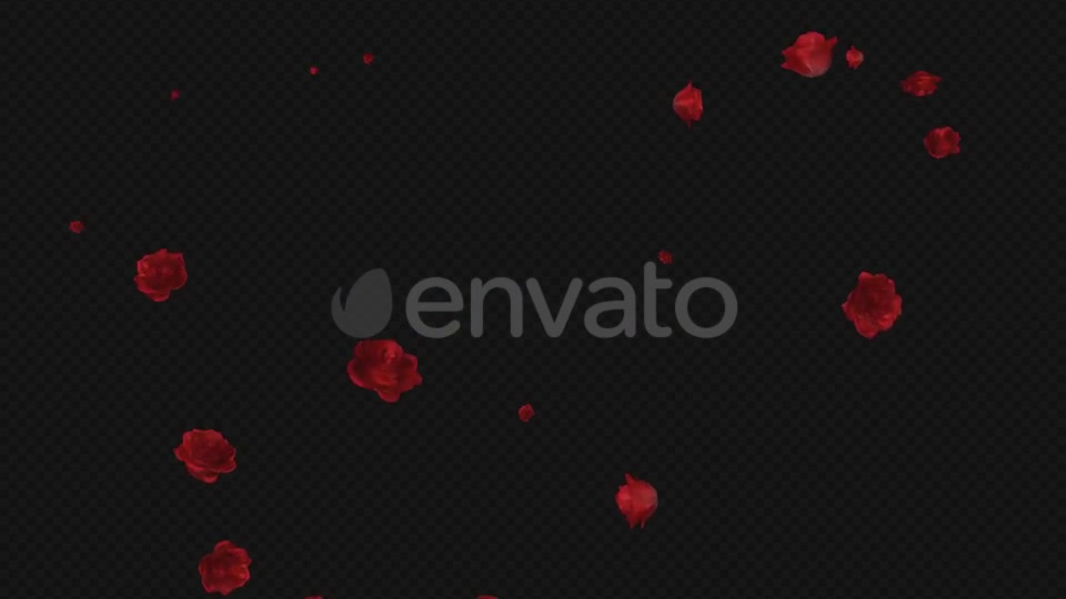 Red Rose Trail Pack of 5 Videohive 21653673 Motion Graphics Image 7