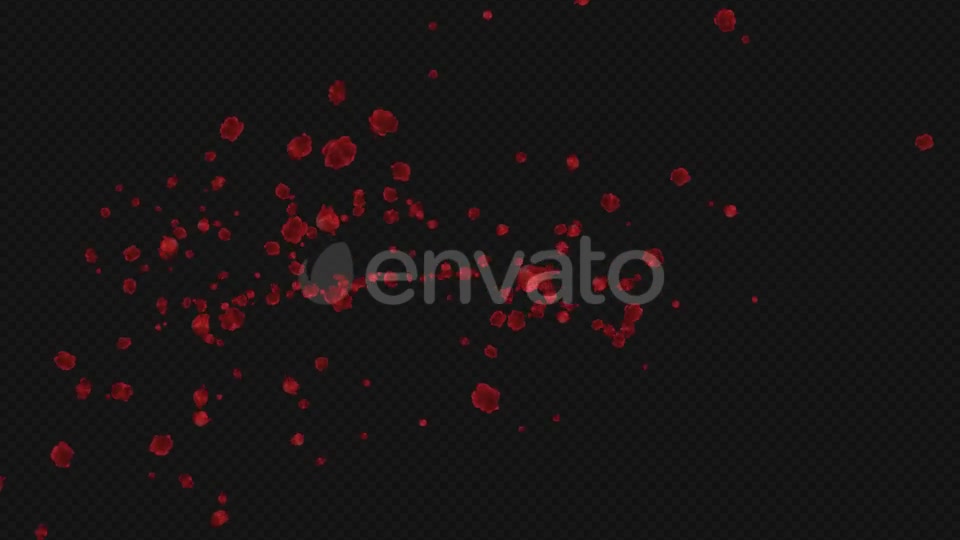 Red Rose Trail Pack of 5 Videohive 21653673 Motion Graphics Image 8