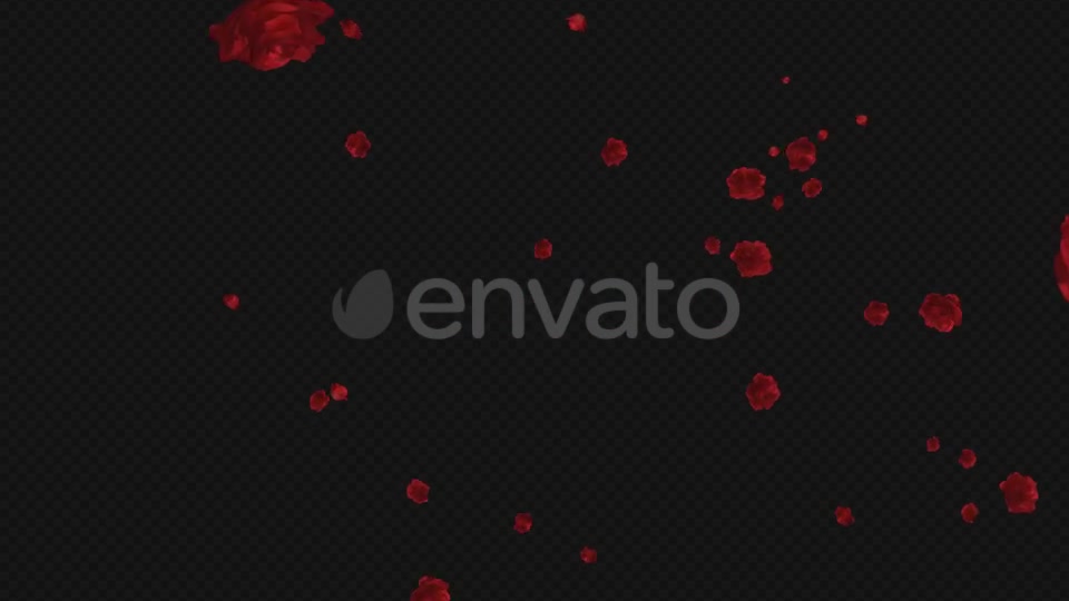 Red Rose Trail Pack of 5 Videohive 21653673 Motion Graphics Image 9