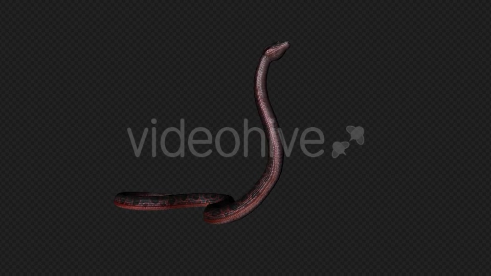 Red Snake Firing Pack 7 In 1 Videohive 19879211 Motion Graphics Image 2