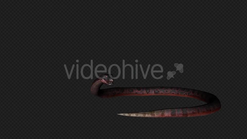 Red Snake Firing Pack 7 In 1 Videohive 19879211 Motion Graphics Image 8