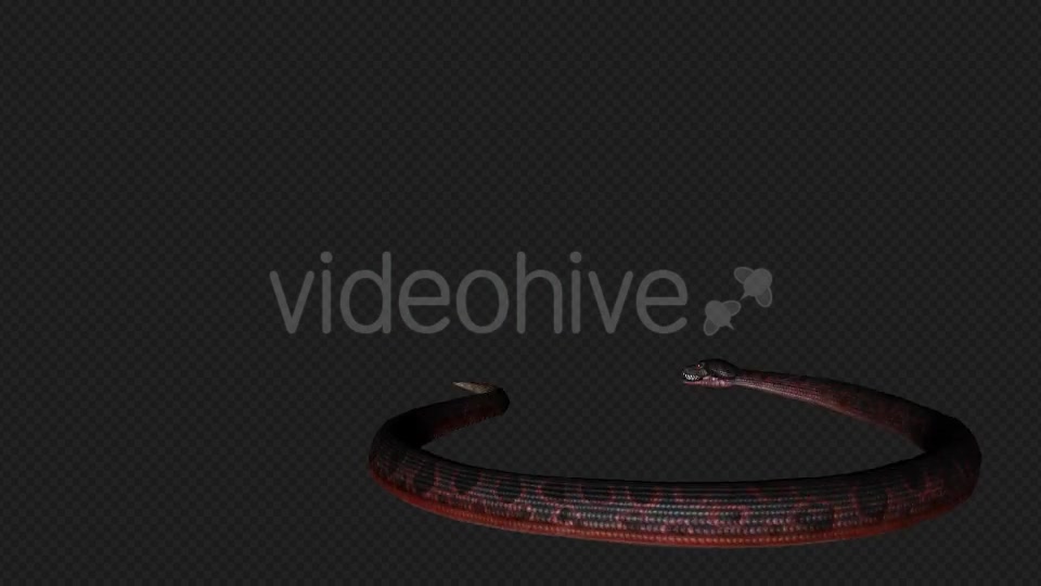 Red Snake Firing Pack 7 In 1 Videohive 19879211 Motion Graphics Image 9