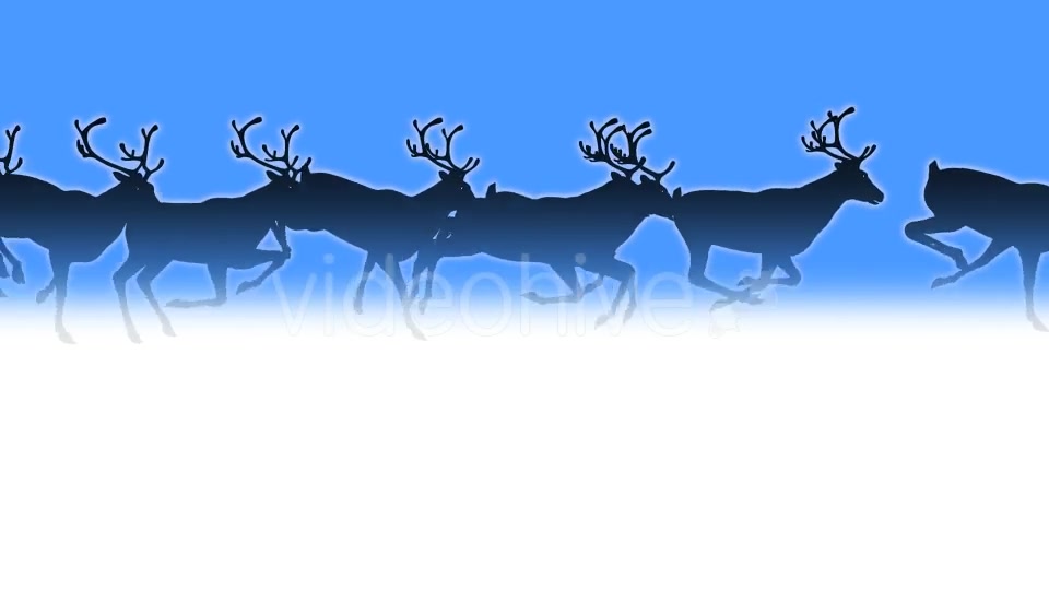 Reindeer Herd Black Silhouettes Passing Screen Videohive 18780070 Motion Graphics Image 10