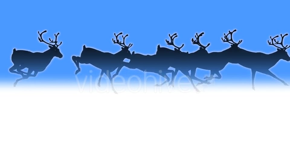 Reindeer Herd Black Silhouettes Passing Screen Videohive 18780070 Motion Graphics Image 11