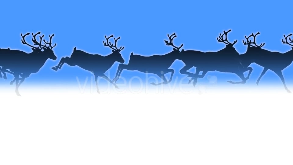 Reindeer Herd Black Silhouettes Passing Screen Videohive 18780070 Motion Graphics Image 3