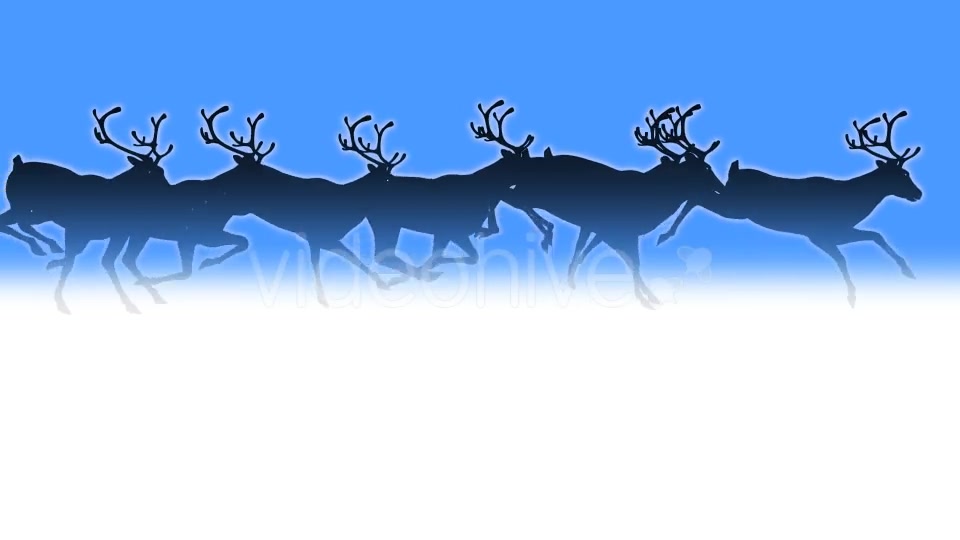 Reindeer Herd Black Silhouettes Passing Screen Videohive 18780070 Motion Graphics Image 4