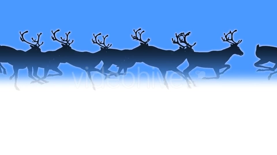 Reindeer Herd Black Silhouettes Passing Screen Videohive 18780070 Motion Graphics Image 6