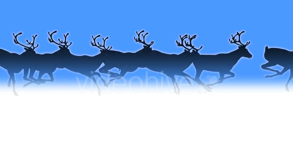 Reindeer Herd Black Silhouettes Passing Screen Videohive 18780070 Motion Graphics Image 8