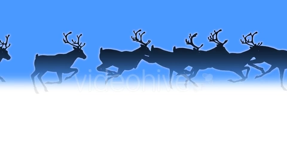 Reindeer Herd Black Silhouettes Passing Screen Videohive 18780070 Motion Graphics Image 9