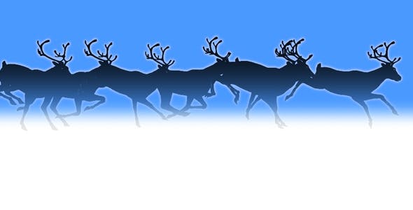 Reindeer Herd Black Silhouettes Passing Screen - 18780070 Download Videohive