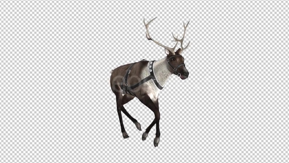 Reindeer Run Pack of 6 Videohive 9432542 Motion Graphics Image 9