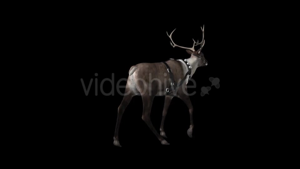 Reindeer Walk Pack of 6 Videohive 9471980 Motion Graphics Image 8