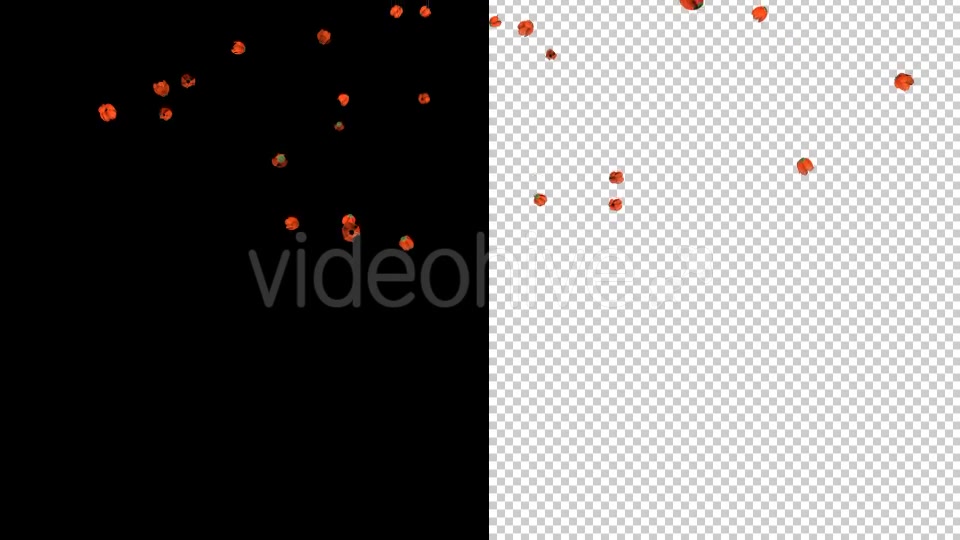 Remembrance Day Poppies Videohive 19921807 Motion Graphics Image 4