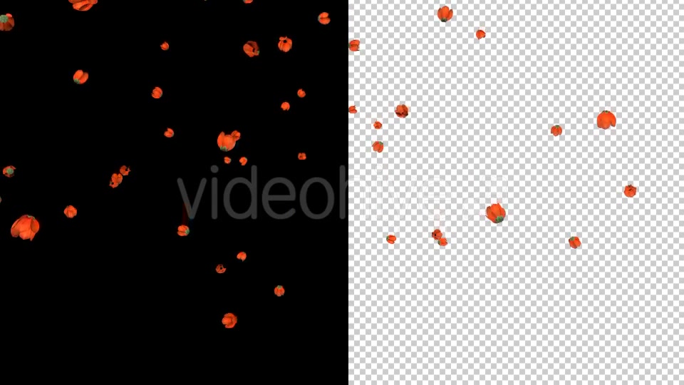 Remembrance Day Poppies Videohive 19921807 Motion Graphics Image 6