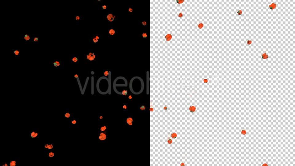 Remembrance Day Poppies Videohive 19921807 Motion Graphics Image 9