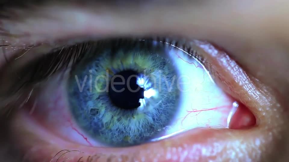 Retina Eye  Videohive 11587648 Stock Footage Image 1