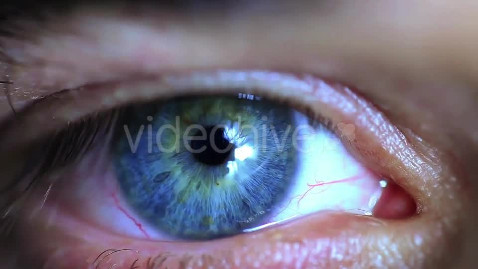 Retina Eye  Videohive 11587648 Stock Footage Image 12