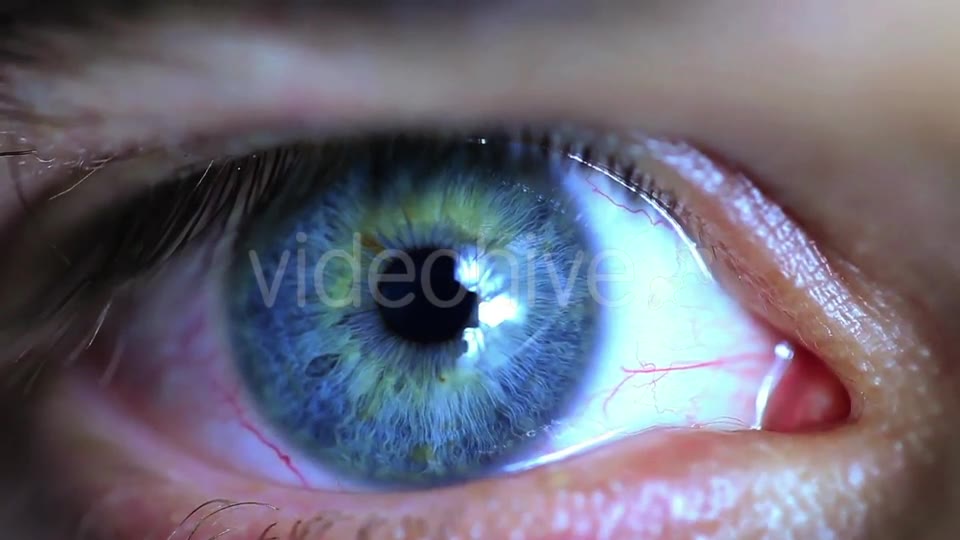 Retina Eye  Videohive 11587648 Stock Footage Image 2