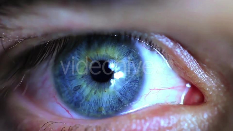 Retina Eye  Videohive 11587648 Stock Footage Image 3