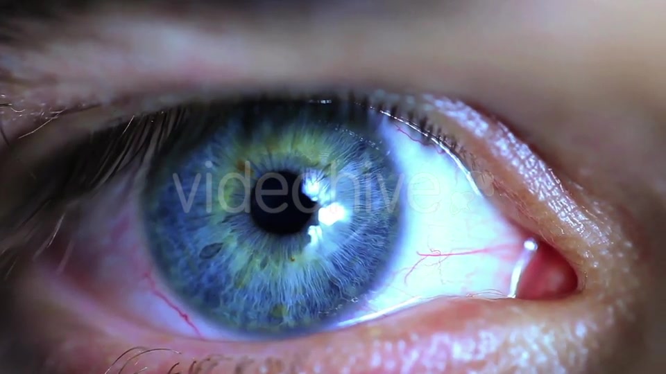 Retina Eye  Videohive 11587648 Stock Footage Image 4