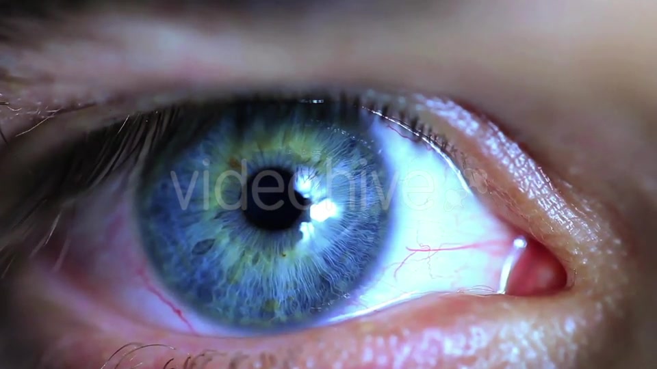 Retina Eye  Videohive 11587648 Stock Footage Image 5