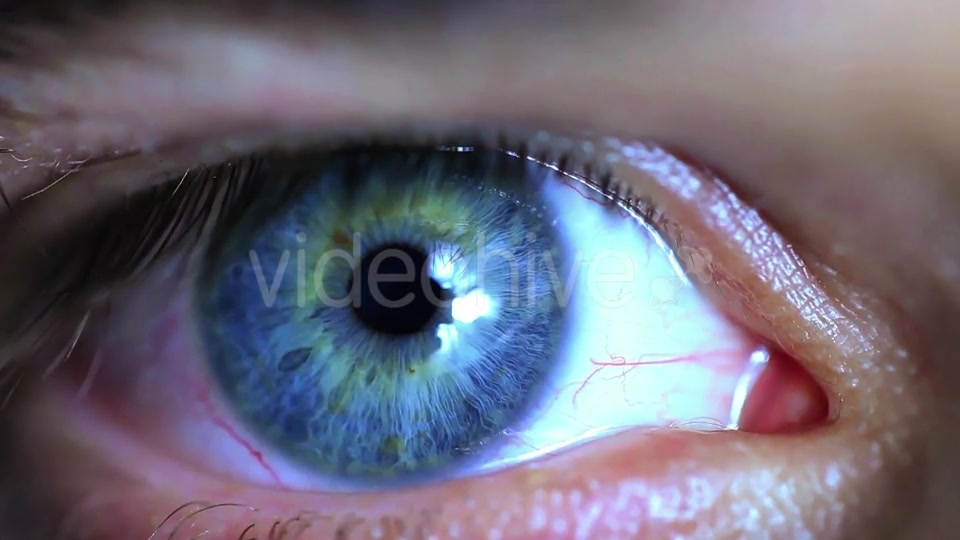 Retina Eye  Videohive 11587648 Stock Footage Image 6