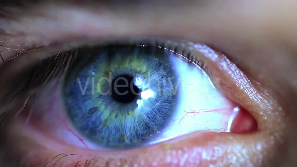 Retina Eye  Videohive 11587648 Stock Footage Image 8