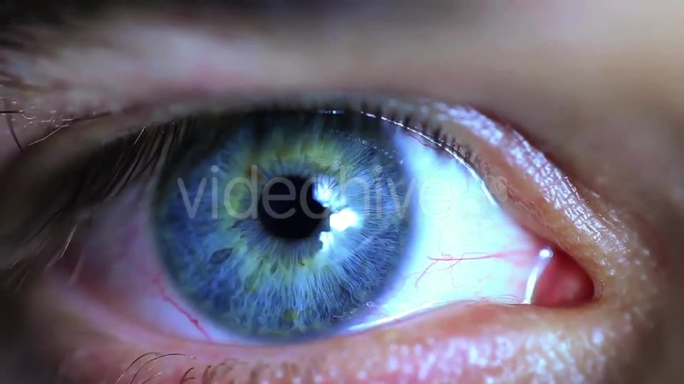 Retina Eye  Videohive 11587648 Stock Footage Image 9