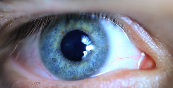 Retina Eye  - 11587648 Download Videohive