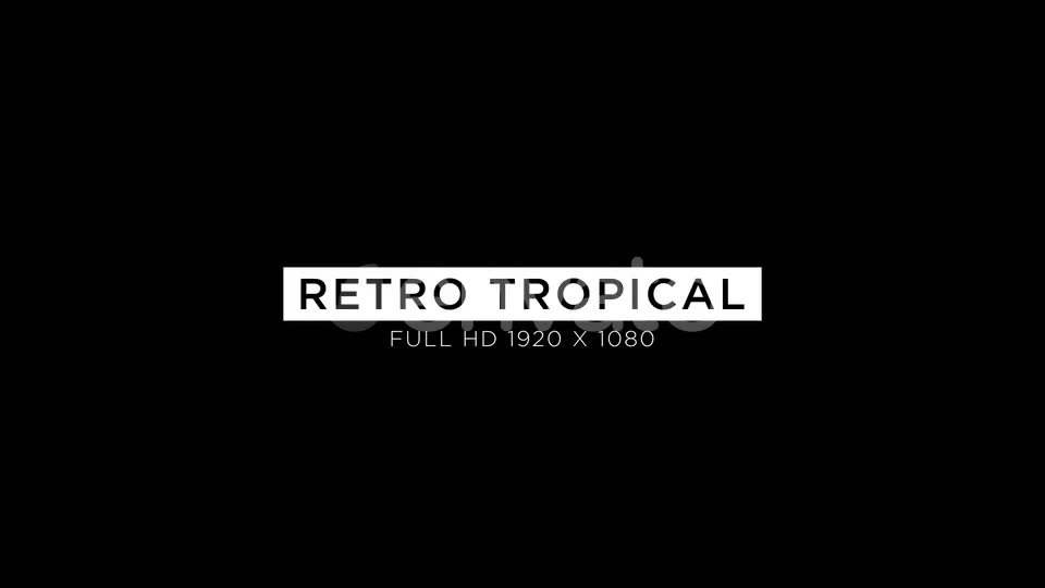 Retro Tropical VJ Loops Background Videohive 23050928 Motion Graphics Image 6