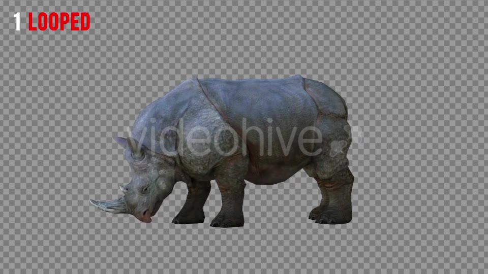 Rhino 2 Realistic Pack 4 Videohive 21256987 Motion Graphics Image 2