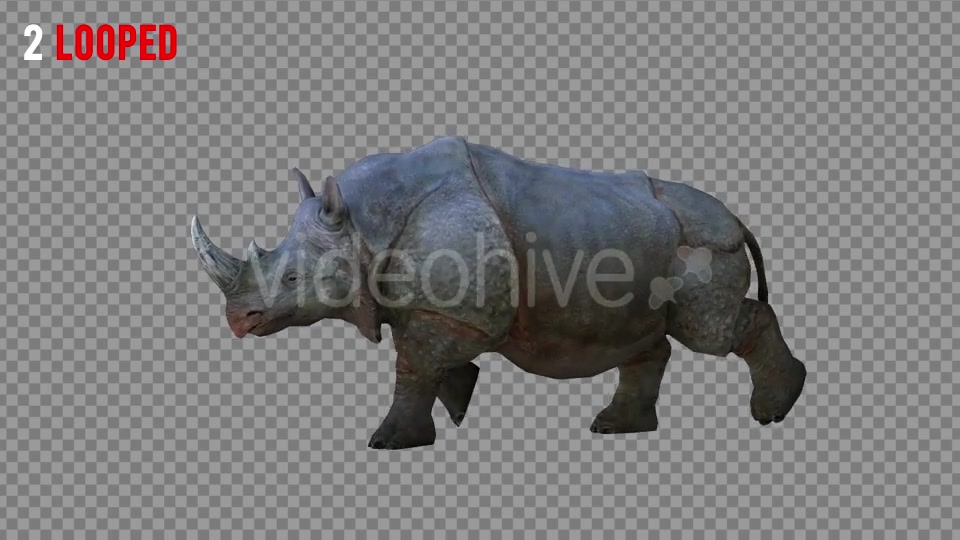 Rhino 2 Realistic Pack 4 Videohive 21256987 Motion Graphics Image 6