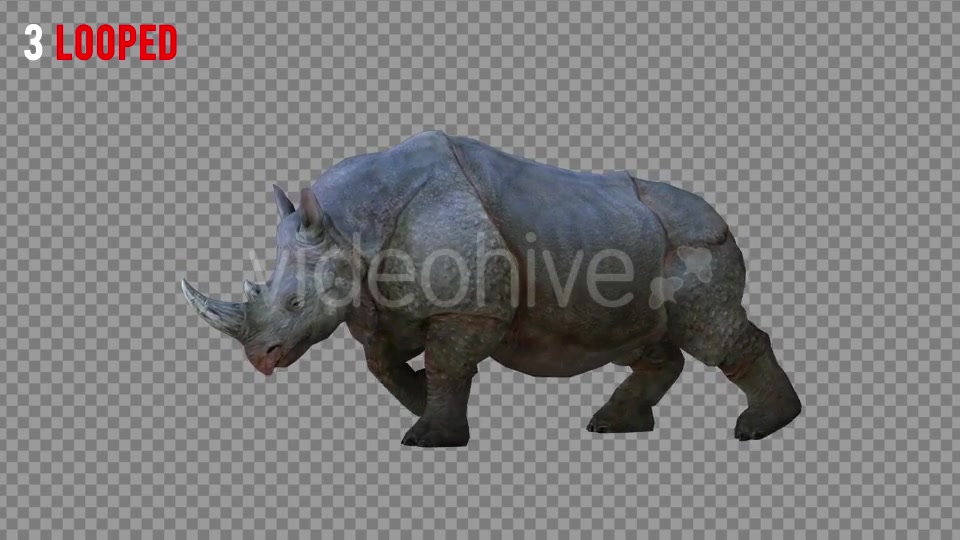 Rhino 2 Realistic Pack 4 Videohive 21256987 Motion Graphics Image 7