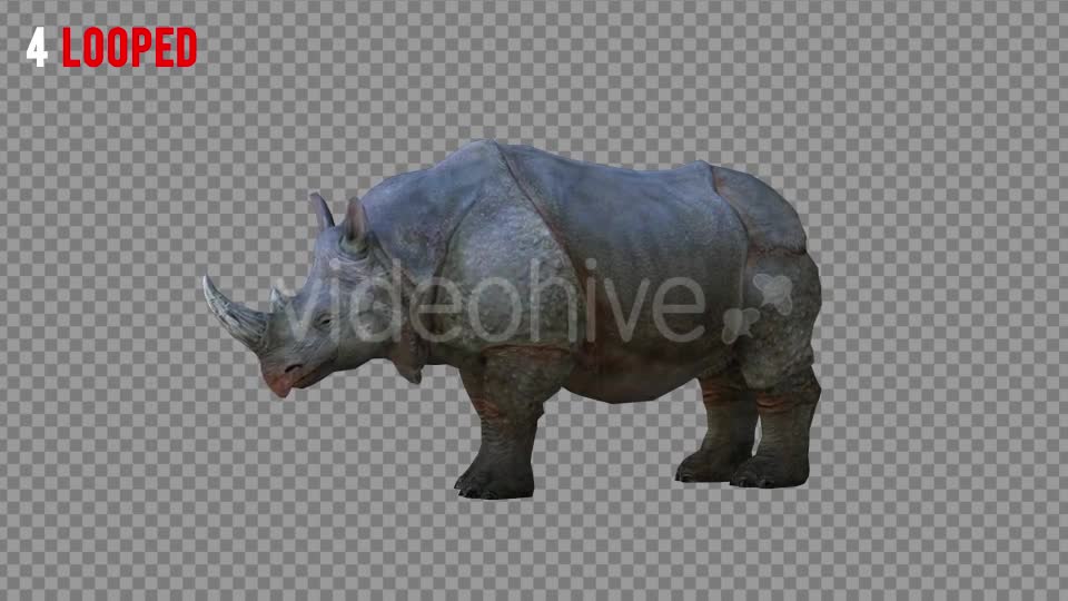 Rhino 2 Realistic Pack 4 Videohive 21256987 Motion Graphics Image 9