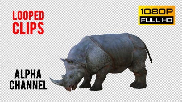 Rhino 2 Realistic Pack 4 - 21256987 Download Videohive