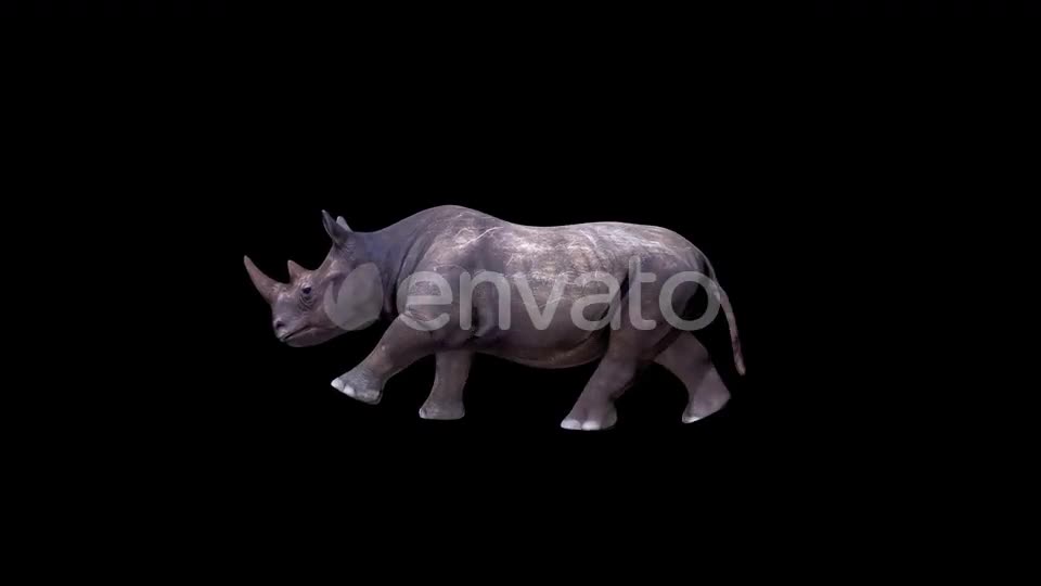 Rhino Run Videohive 24139676 Motion Graphics Image 1