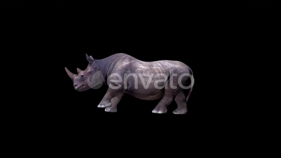 Rhino Run Videohive 24139676 Motion Graphics Image 2