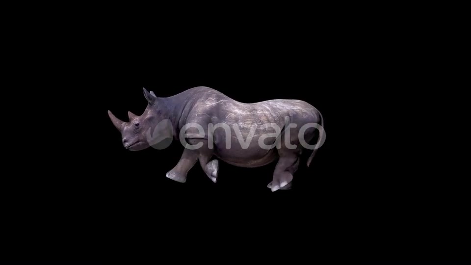 Rhino Run Videohive 24139676 Motion Graphics Image 3