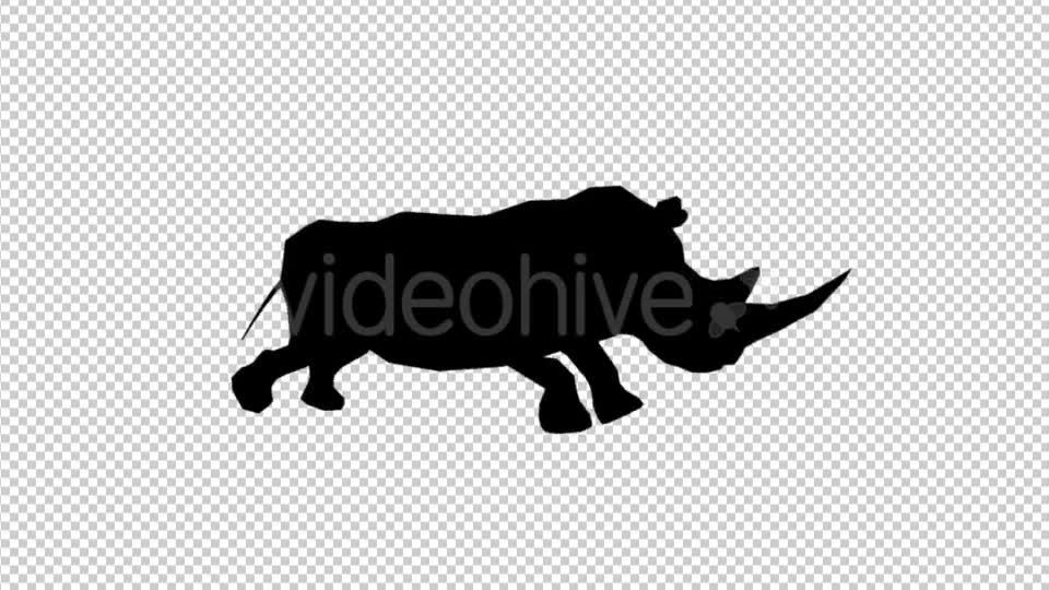 Rhino Silhouette Run Animation Videohive 19882526 Motion Graphics Image 1