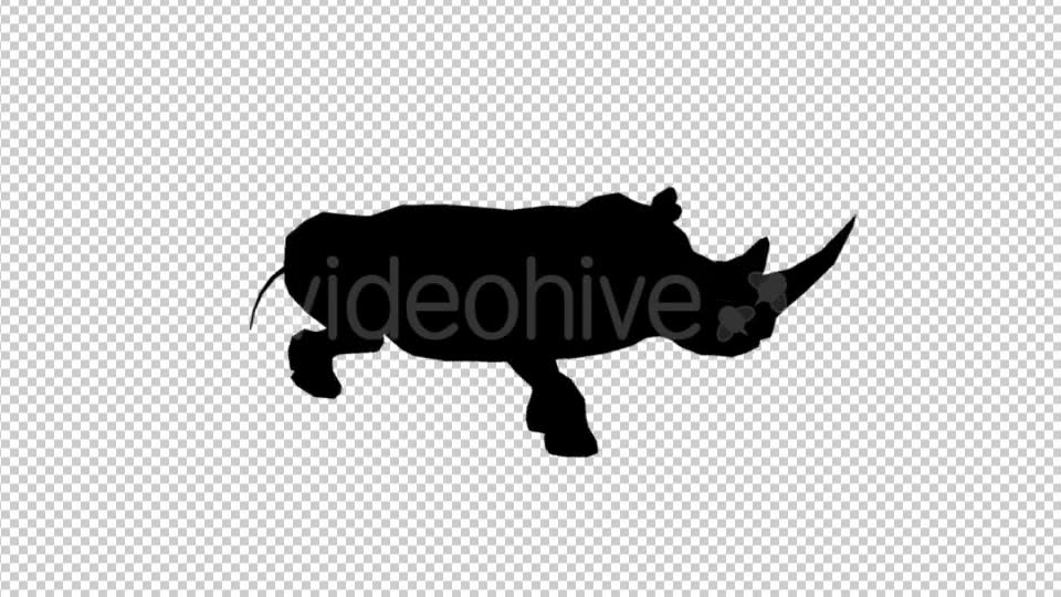 Rhino Silhouette Run Animation Videohive 19882526 Motion Graphics Image 2