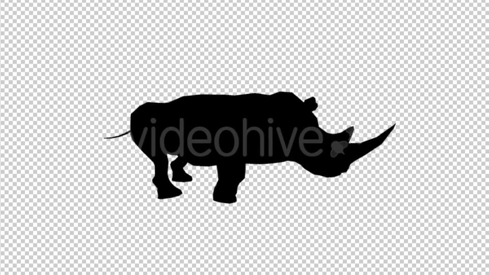 Rhino Silhouette Run Animation Videohive 19882526 Motion Graphics Image 3