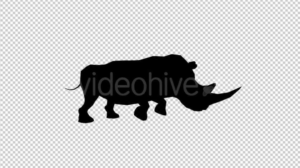 Rhino Silhouette Run Animation Videohive 19882526 Motion Graphics Image 4